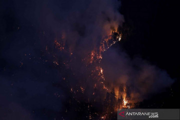 Api membakar lereng bukit di Grizzly Flats California