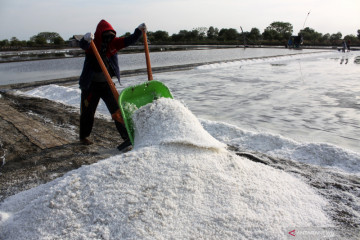KKP: "Washing plant" berikan nilai tambah bagi komoditas garam