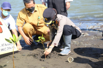 Polres Kulon Progo-DKP tanam 1.000 mangrove di Pantai Trisik