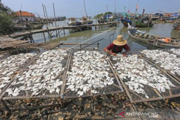 Produksi  Ikan Kering Meningkat