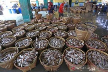 Produksi  Ikan Kering Meningkat