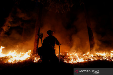 Petugas Rosevelt Hotshot memantau kebakaran hutan di California
