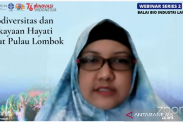 Peneliti LIPI: Perairan Lombok Barat kaya potensi teripang komersial