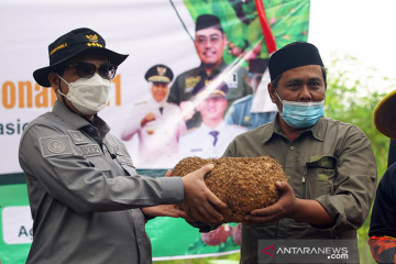 Wamentan dorong pemda bentuk perusda hilirisasi produk pertanian