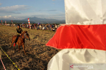 Lomba pacuan kuda tradisional di Maros
