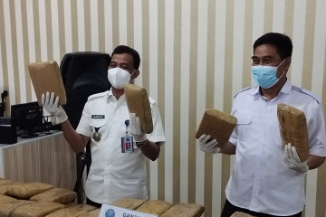 BNNP Lampung menggagalkan peredaran 50 paket ganja