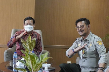 Kementan-RNI bersinergi kembangkan cadangan komoditas hortikultura