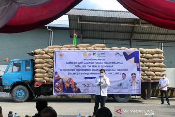 Menko Airlangga lepas ekspor biji kakao andalan Sulawesi Tengah