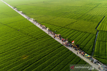 Hijaunya destinasi wisata Tegalan di Karawang