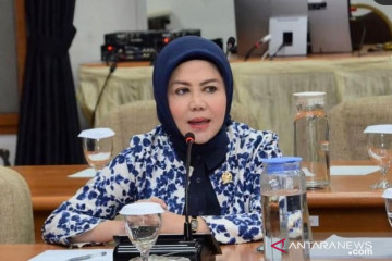 Anggota DPR RI: Kritik adalah bagian dari demokrasi