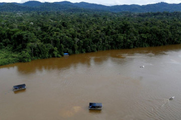 Brazil berjanji segera pindahkan penambang liar dari kawasan Yanomami