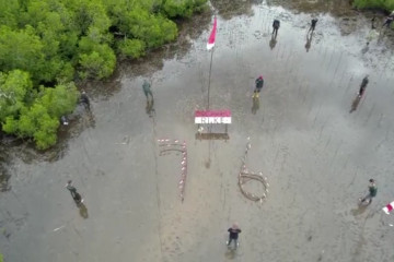 Rayakan proklamasi dengan bertanam 3.300 bibit mangrove