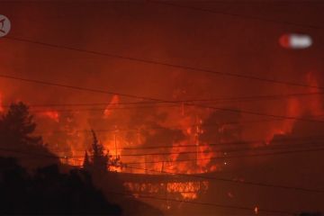 Kebakaran hutan lalap pembangkit listrik di Turki barat daya