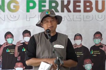 Jabar luncurkan rintisan usaha petani milenial bidang perkebunan