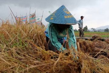 Sumbar harap layanan OSS genjot investasi daerah