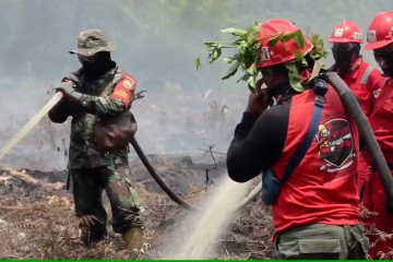 BNPB petakan daerah rawan karhutla di puncak kemarau