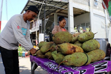 Cempedak goreng datangkan omzet puluhan juta rupiah