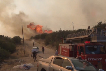 Sedikitnya delapan orang tewas dalam kebakaran hutan di Turki