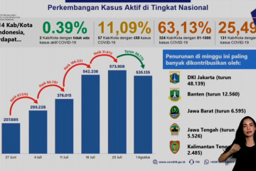 Pemprov diminta pantau data COVID-19 kabupaten/kota