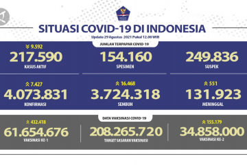 Kasus positif COVID-19 per 29 Agustus bertambah 7.427