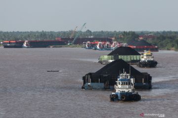 Harga batu bara acuan naik 33 persen dalam sebulan