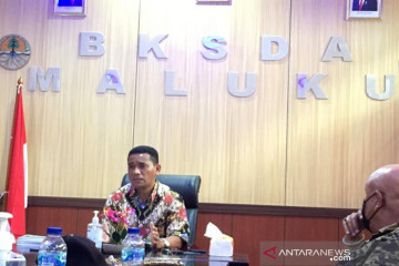 BKSDA minta dukungan Gubernur Maluku bangun pusat konservasi satwa