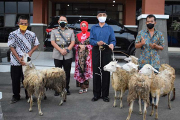 Polisi purnatugas di Temanggung dapat cenderamata kambing