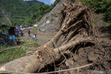 Jalan Trans Palu-Palolo tertimbun material longsor