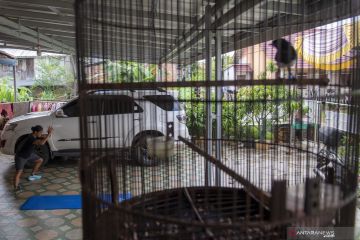 Latihan Mandiri Atlet Atletik Sumatera Selatan