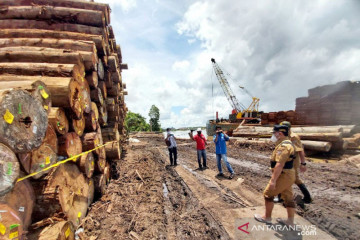 Pemprov Kalteng menyegel ribuan kayu log diduga ilegal