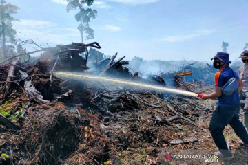 Dua hektare lahan gambut terbakar di Nagan Raya