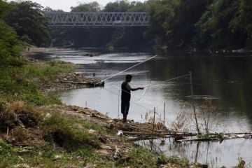 Air tercemar limbah alkohol