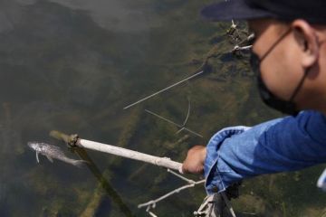 Air tercemar limbah alkohol