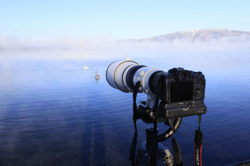 Canon luncurkan lensa telefoto super untuk seri EOS R