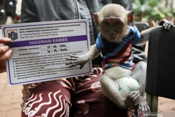RT/RW di Jakarta diminta awasi lalu lintas hewan penular rabies
