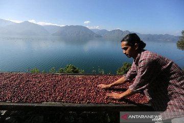 Pemerintah perlu buat kebijakan stabilisasi harga pangan