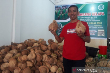 Wali Kota Medan pilih tukang kelapa jadi dirut Perumda Pasar