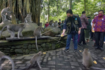Menteri BUMN tinjau objek wisata Monkey Forest