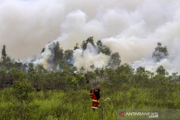 Kebakaran Lahan Di Kalsel Mendekati Permukiman Warga