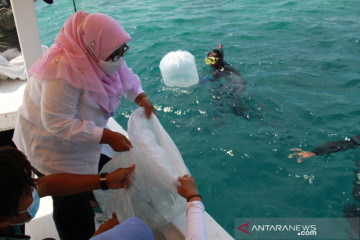 Sudin KPKP Kepulauan Seribu tabur benih ikan di area perlindungan laut