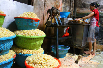 Dampak Fluktuasi Harga Kedelai