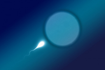 Periksa sperma tindakan pertama pada kasus gangguan kesuburan