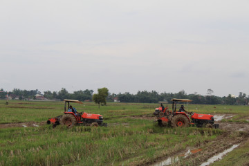 Ombudsman nilai peran pemerintah penting dorong kesejahteraan petani