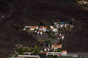 Lahar dingin letusan Gunung La Palma di Spanyol mengalir ke permukiman warga