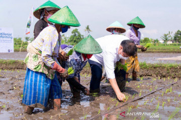 Menko Airlangga dukung smart farming petani milenial