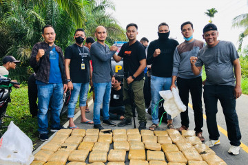 BNNK Pasaman Barat Sumbar tangkap empat pengedar 50 kilogram ganja