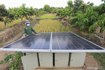 Petani manfaatkan listrik tenaga surya