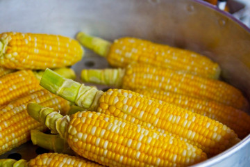 Manfaat Jagung bagi kesehatan tergantung cara penyajiannya