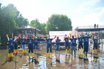 Pupuk Kaltim komitmen kembangkan potensi mangrove Bontang