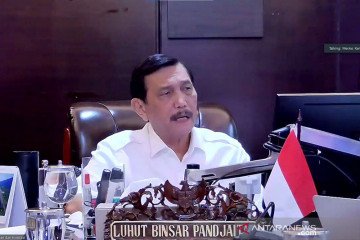 Luhut minta daerah hadirkan produk premium, dukung usaha ekraf